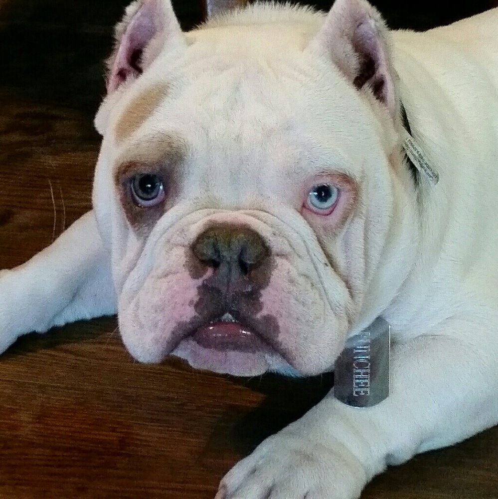 Meet your Posher, Charlotte